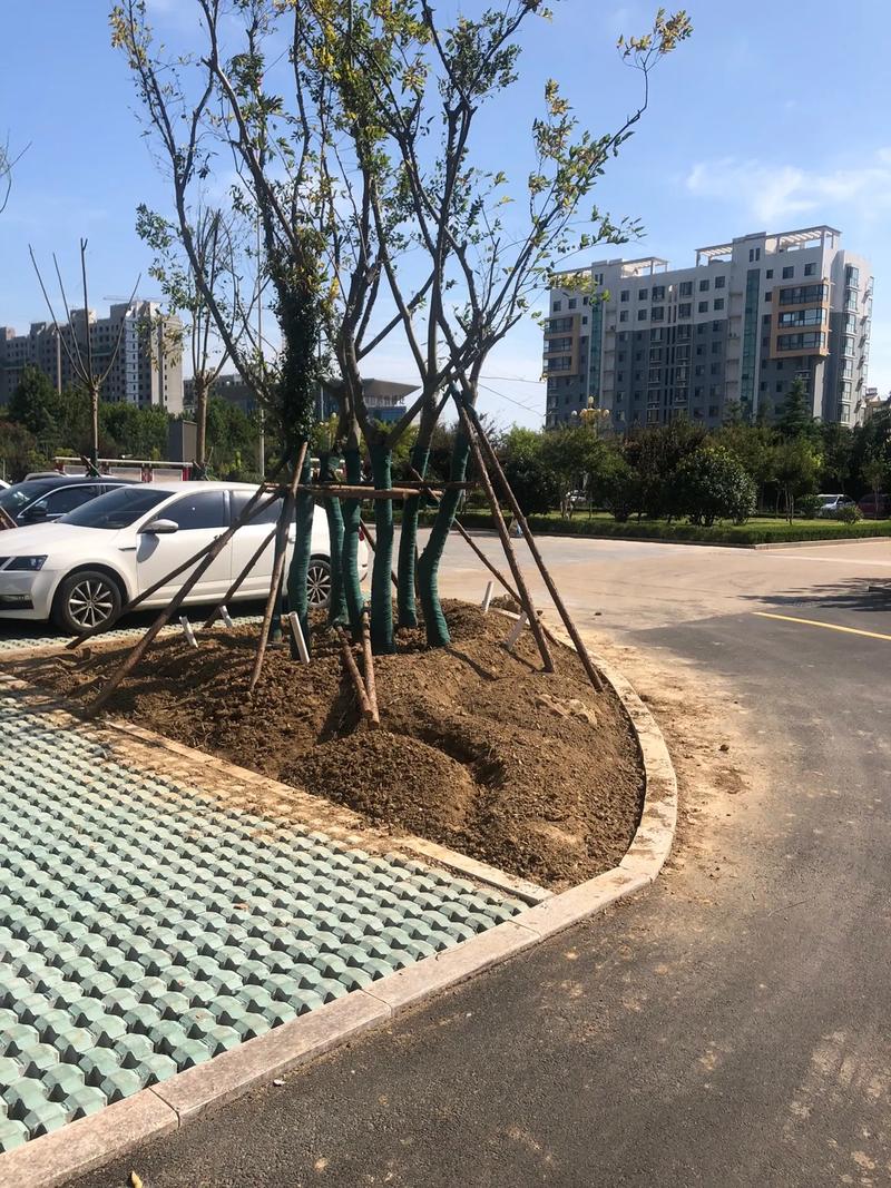诗意的栖居 探寻园林绿化景观工程的匠心与美学
