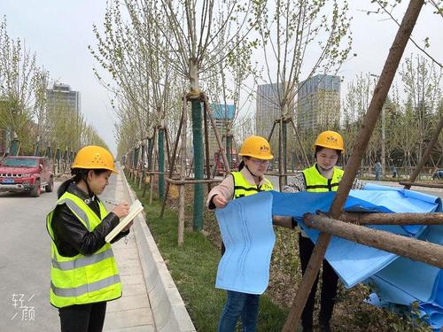 匠心筑绿 绘就港务生态新画卷——陕建古建园林集团港务区园林绿化项目施工侧记